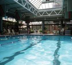 Imagen de la piscina del Hotel Pacific Palisades Vancouver. Foto 6