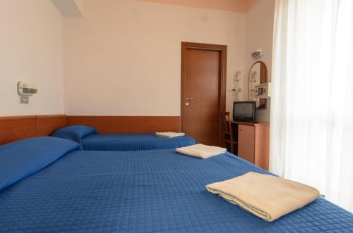 Imagen de la habitación del Hotel Pacific, Rimini. Foto 6