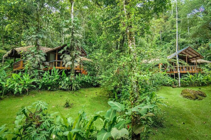 Imagen de la habitación del Hotel Pacuare Lodge by B&ouml;&euml;na.. Foto 15