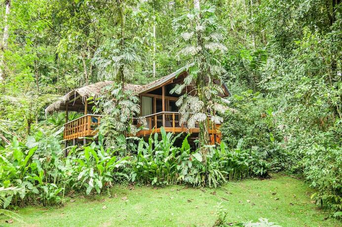 Imagen general del Hotel Pacuare Lodge by B&ouml;&euml;na.. Foto 13