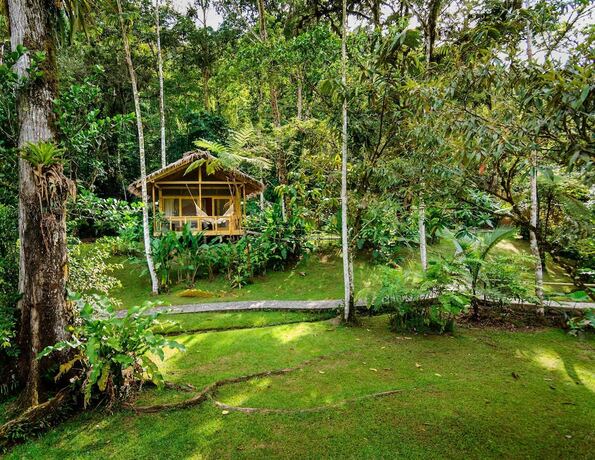 Imagen de la habitación del Hotel Pacuare Lodge by B&ouml;&euml;na.. Foto 20