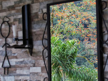 Imagen de los exteriores del Hotel Pacuare River Lodge. Foto 7