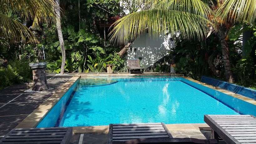 Imagen de la piscina del Hotel Padang Lovina Sea Side Cottage. Foto 6