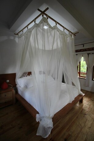 Imagen de la habitación del Hotel Padi Ecolodge. Foto 26