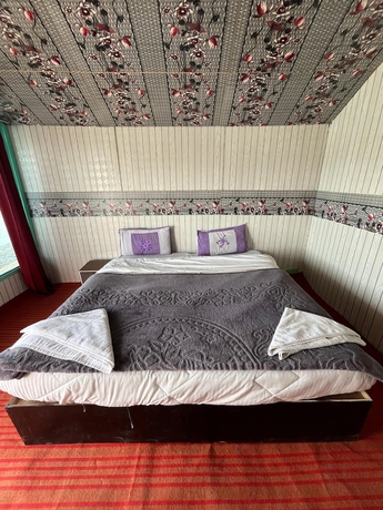 Imagen de la habitación del Hotel Padma Cottage Pangong. Foto 5