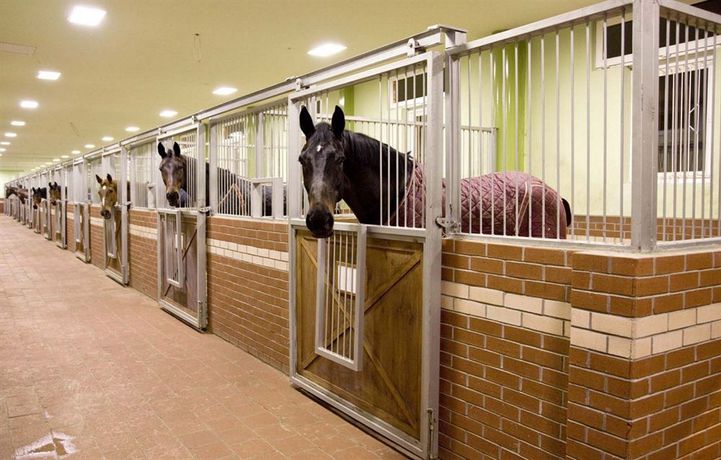 Imagen general del Hotel Padok Premium and Stables. Foto 2