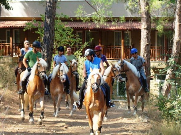 Imagen general del Hotel Padok Premium and Stables. Foto 4