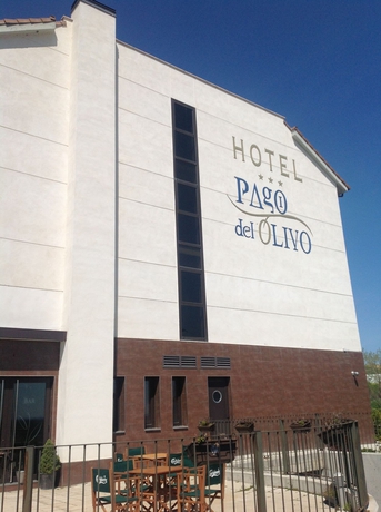 Imagen general del Hotel Pago Del Olivo. Foto 1