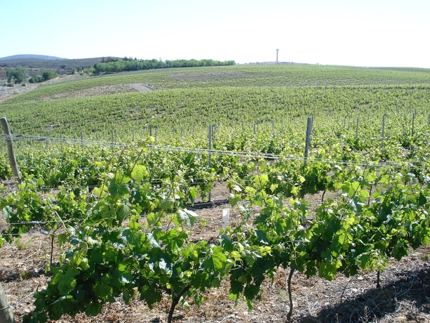 Imagen de los interiores del Hotel Pago Del Vicario. Foto 16