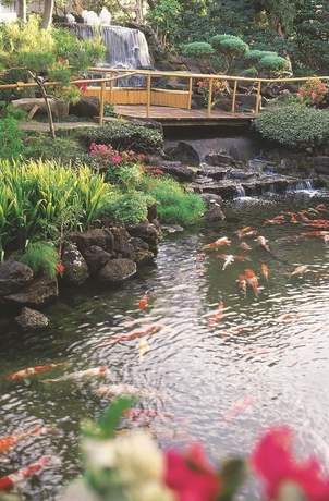 Imagen de los interiores del Hotel Pagoda, Honolulu. Foto 9