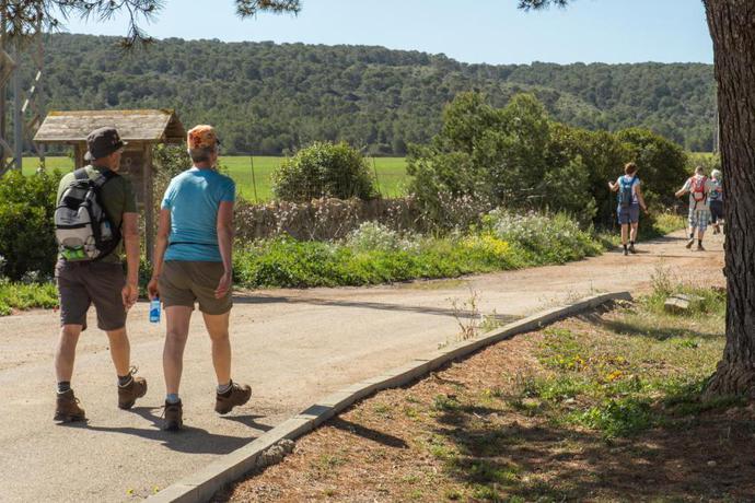 Imagen general del Hotel Paguera Treff Boutique. Foto 10