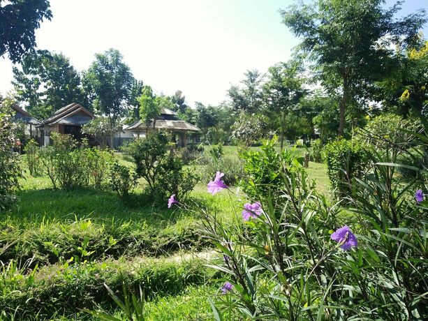 Imagen general del Hotel Pai Park Cottage. Foto 14