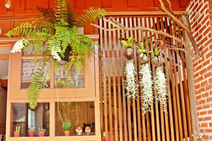Imagen de los interiores del Hotel Pailin Guest House - Hostel. Foto 19