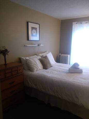 Imagen general del Hotel Painted Turtle Guesthouse. Foto 1