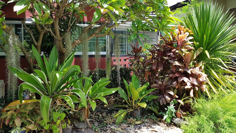 Imagen de los exteriores del Hotel Pakdee House. Foto 14