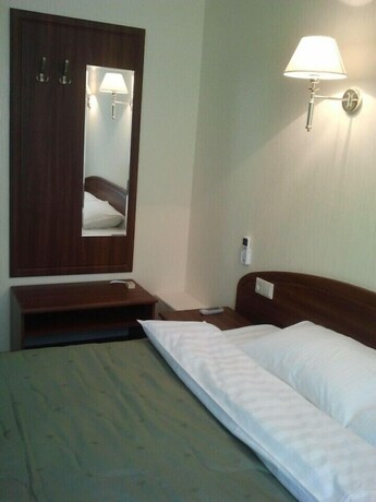 Imagen de la habitación del Hotel Pakhra. Foto 29