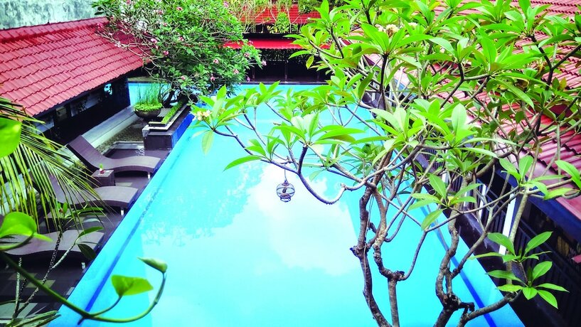 Imagen de la piscina del Hotel Paku Mas. Foto 20