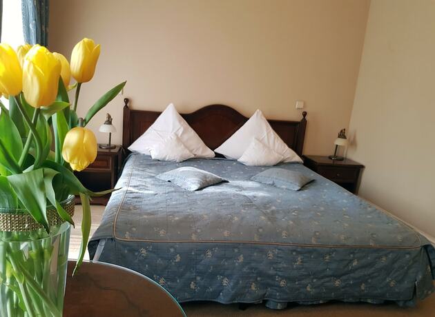 Imagen de la habitación del Hotel Palac Paulinum. Foto 18
