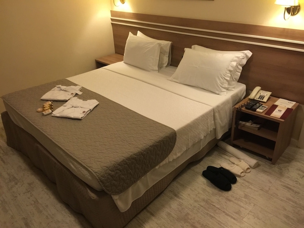 Imagen de la habitación del Hotel Palace, Campos dos Goytacazes. Foto 13