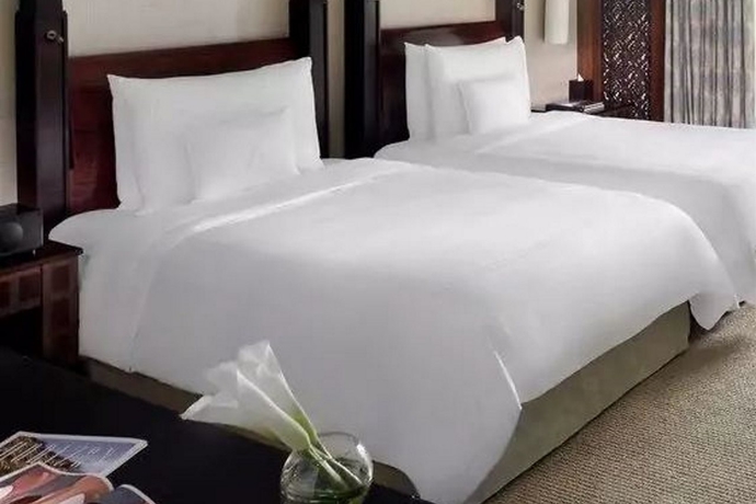 Imagen general del Hotel Palace Downtown. Foto 13