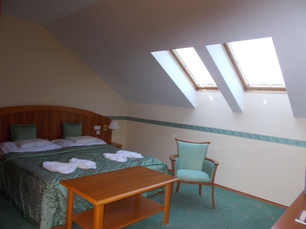 Imagen de la habitación del Hotel Palace Heviz. Foto 4