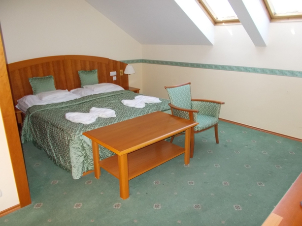 Imagen de la habitación del Hotel Palace Heviz. Foto 7