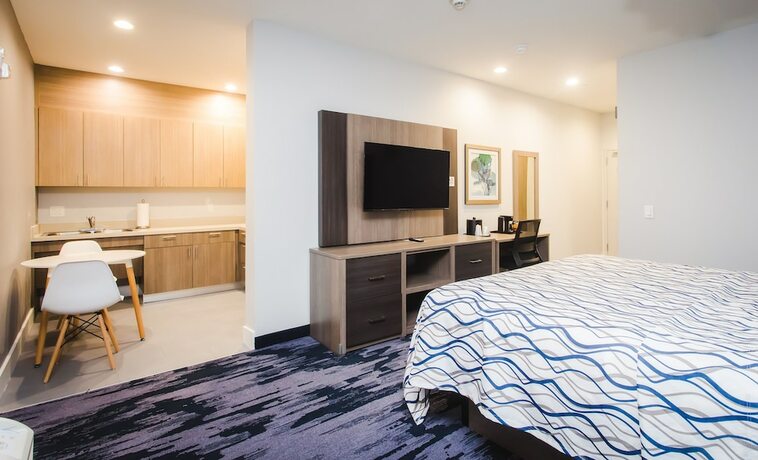 Imagen de la habitación del Hotel Palace Inn Blue Houston East Beltway 8. Foto 17