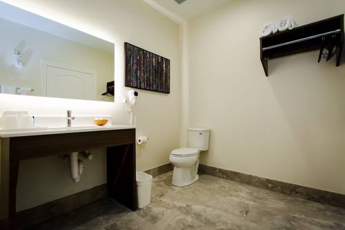 Imagen de la habitación del Hotel Palace Inn Blue Us 59 and Gessner. Foto 6