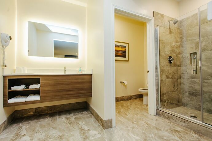 Imagen de la habitación del Hotel Palace Inn City Center. Foto 13