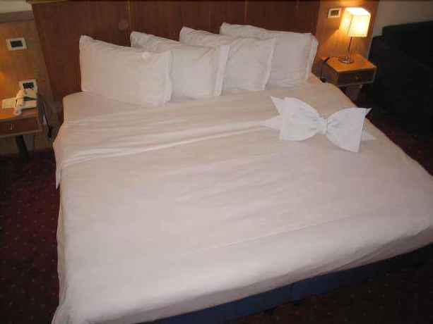 Imagen de la habitación del Hotel Palace Inn, Fiano Romano. Foto 11