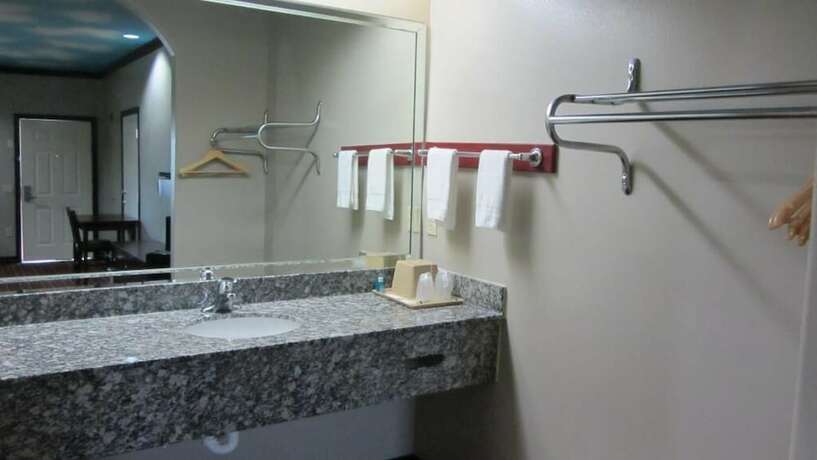 Imagen general del Hotel Palace Inn Greenspoint. Foto 2