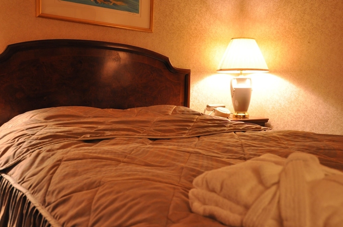 Imagen de la habitación del Hotel Palace Inn Toyota. Foto 4