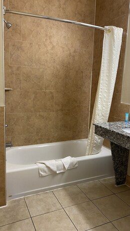 Imagen general del Hotel Palace Inn Westheimer. Foto 5