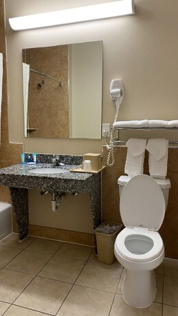 Imagen general del Hotel Palace Inn Westheimer. Foto 12