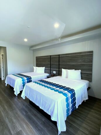 Imagen general del Hotel Palace Inn-Arcola. Foto 9