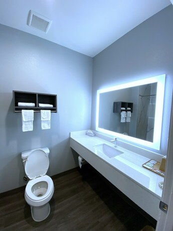 Imagen general del Hotel Palace Inn-Arcola. Foto 11