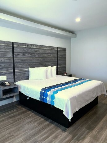 Imagen de la habitación del Hotel Palace Inn-Arcola. Foto 20