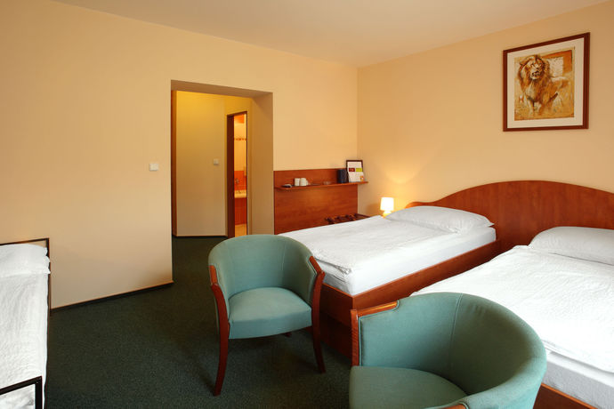 Imagen de la habitación del Hotel Palace, PILSEN. Foto 4