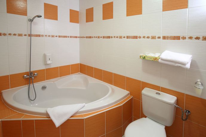 Imagen de la habitación del Hotel Palace, PILSEN. Foto 10