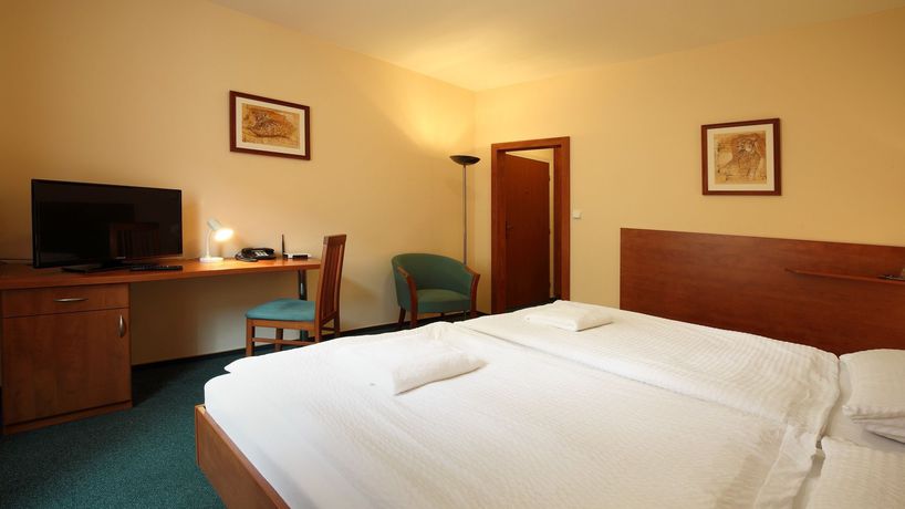 Imagen de la habitación del Hotel Palace, PILSEN. Foto 13