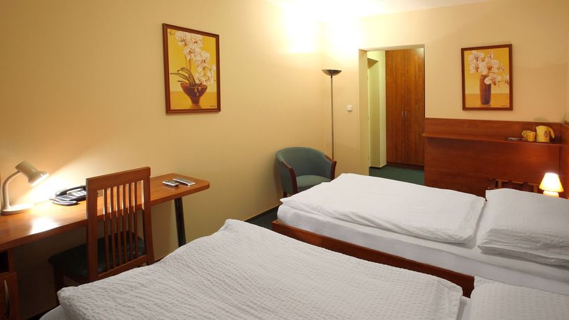 Imagen de la habitación del Hotel Palace, PILSEN. Foto 14