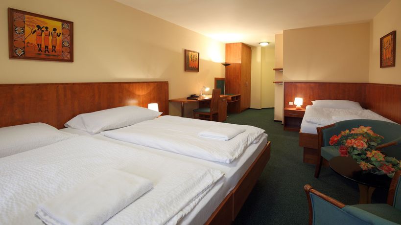 Imagen de la habitación del Hotel Palace, PILSEN. Foto 15