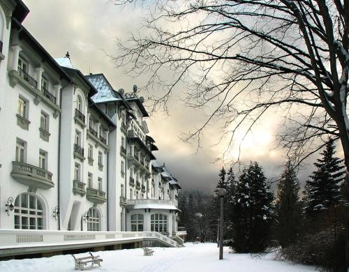 Imagen general del Hotel Palace, SINAIA. Foto 2