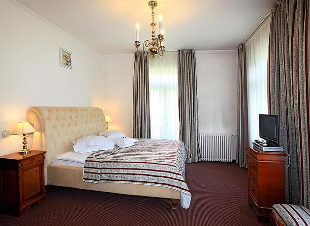 Imagen de la habitación del Hotel Palace (Sinaia). Foto 3