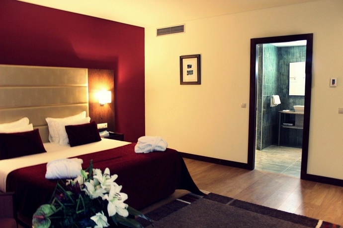 Imagen de la habitación del Hotel Palace and Spa Termas De S. Miguel. Foto 11