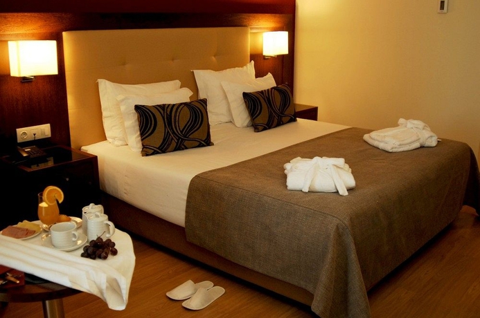 Imagen de la habitación del Hotel Palace and Spa Termas De S. Tiago. Foto 8