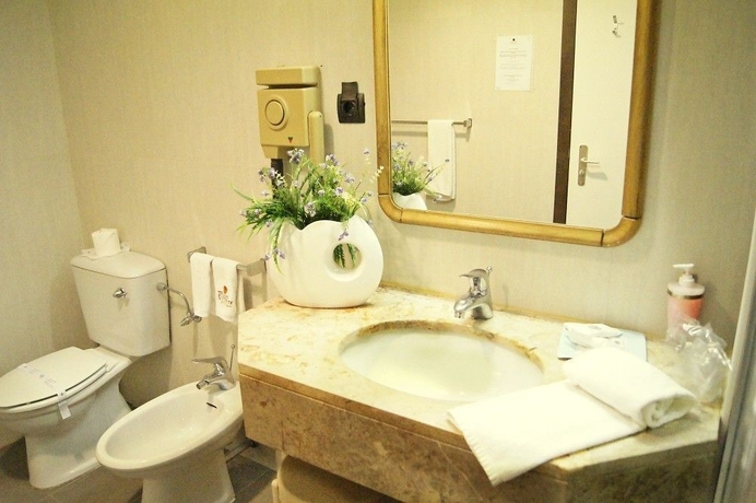 Imagen de la habitación del Hotel Palace and Spa Termas De São Vicente. Foto 16