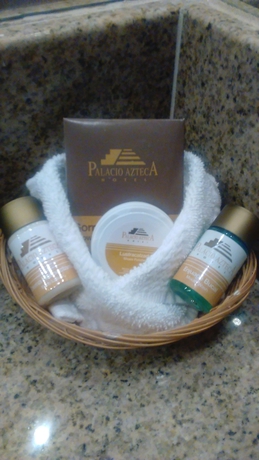 Imagen de la habitación del Hotel Palacio Azteca. Foto 13