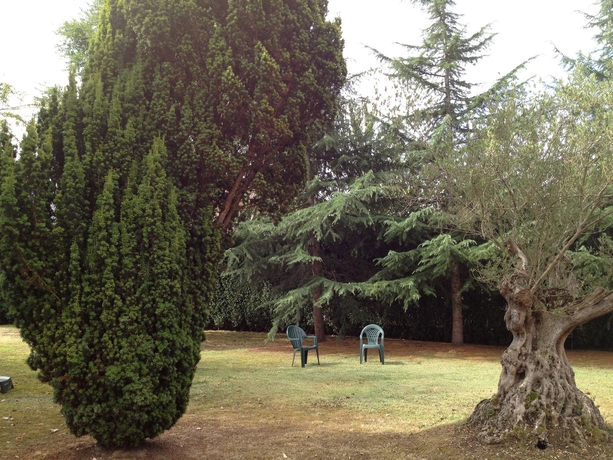 Imagen de los exteriores del Hotel Palacio De La Viñona. Foto 6