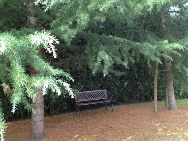 Imagen de los exteriores del Hotel Palacio De La Viñona. Foto 7